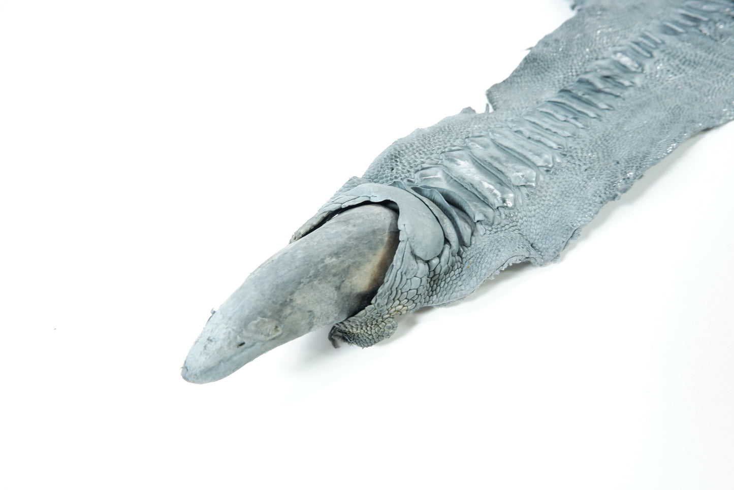 Genuine Ostrich Leg Skin with Claw Leather Hide Pelt