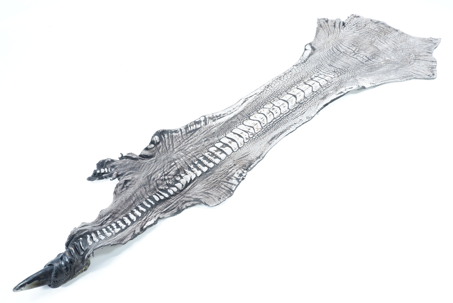 Genuine Ostrich Leg Skin with Claw Leather Hide Pelt