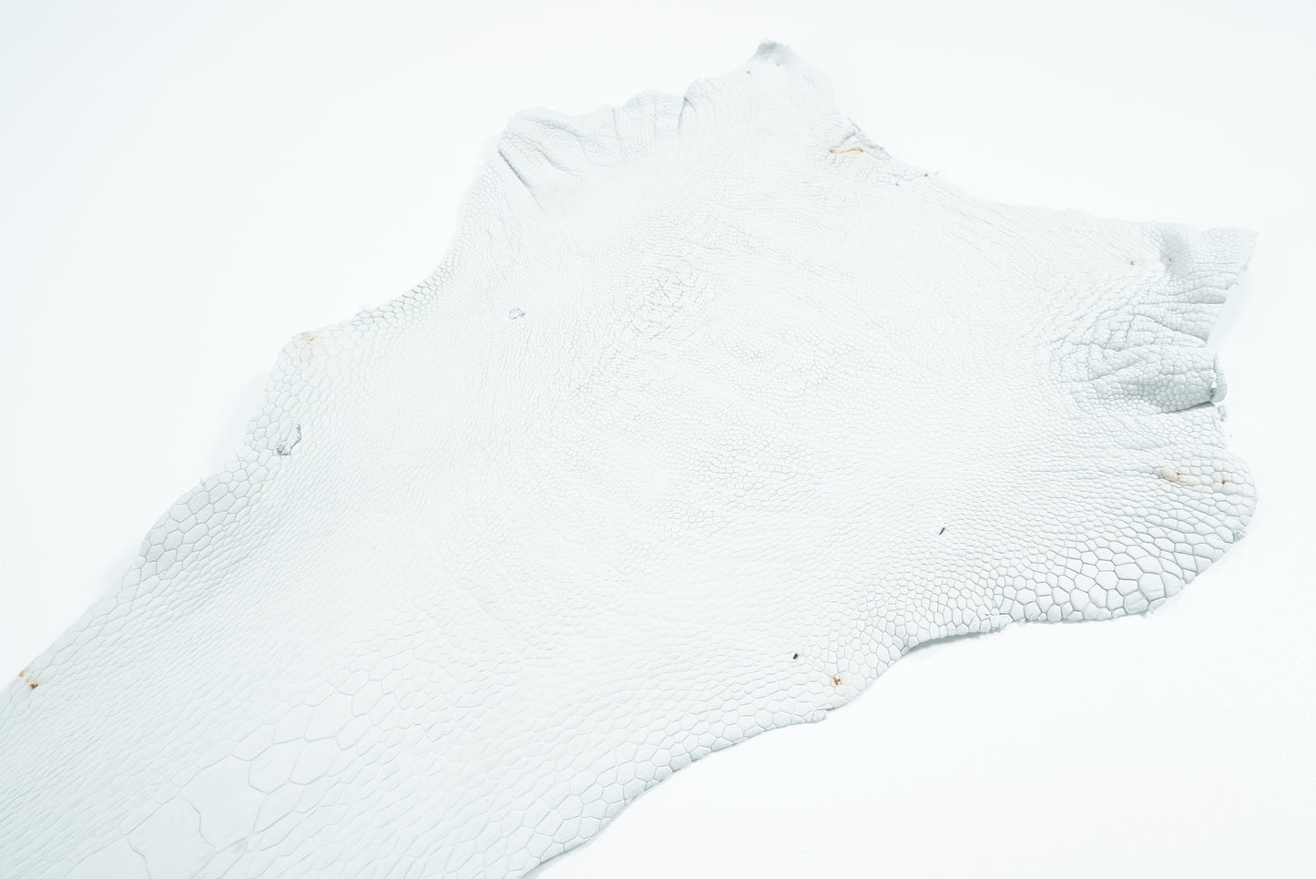 Genuine Ostrich Leg Skin with Claw Leather Hide Pelt