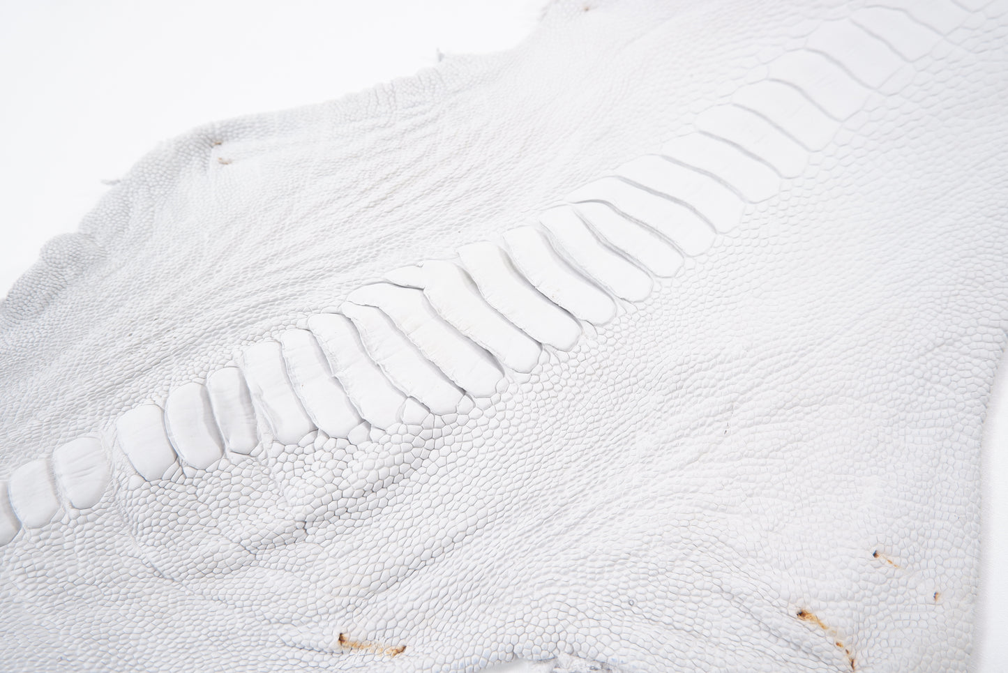 Genuine Ostrich Leg Skin with Claw Leather Hide Pelt