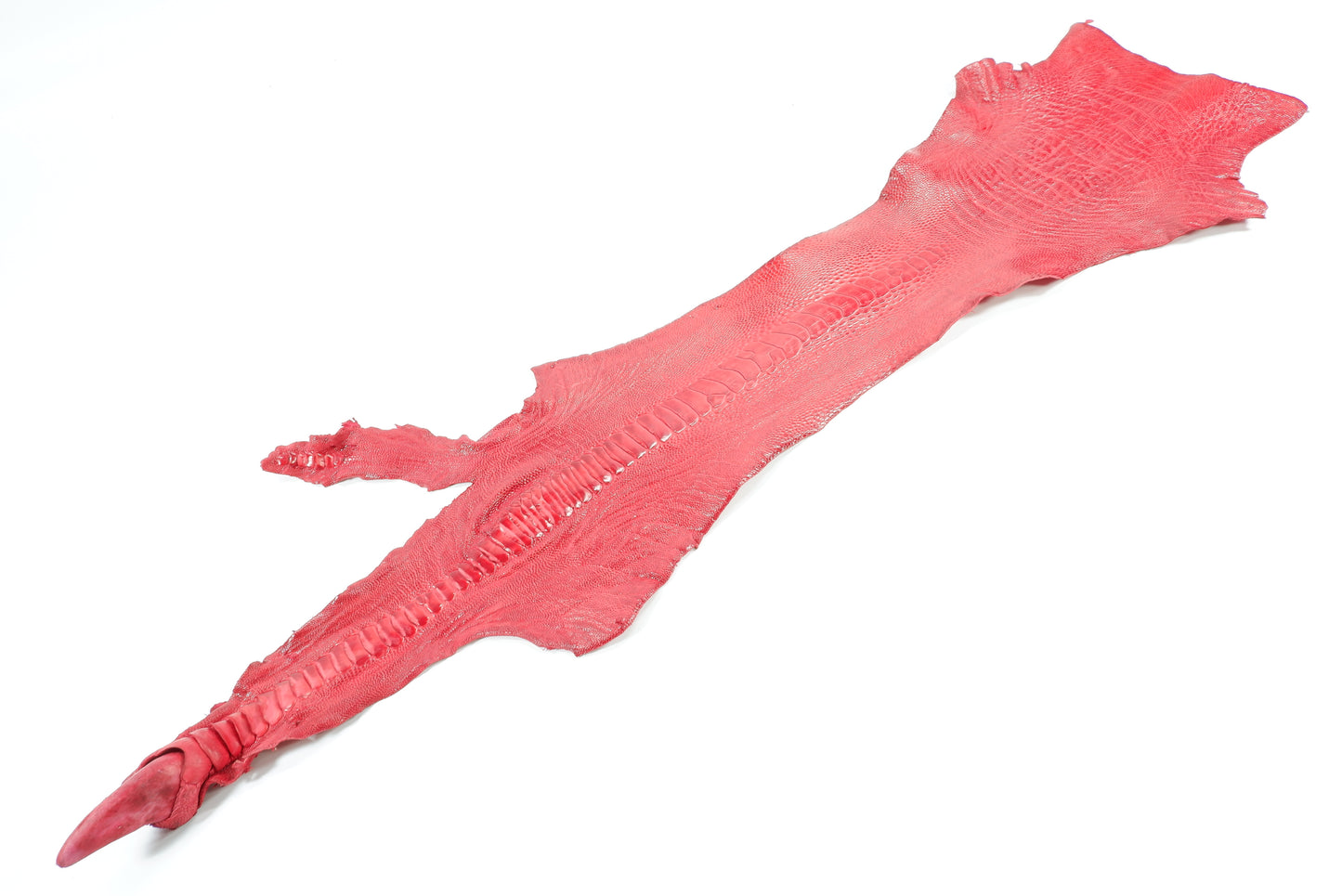 Genuine Ostrich Leg Skin with Claw Leather Hide Pelt