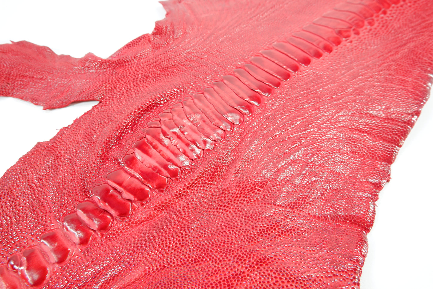 Genuine Ostrich Leg Skin with Claw Leather Hide Pelt