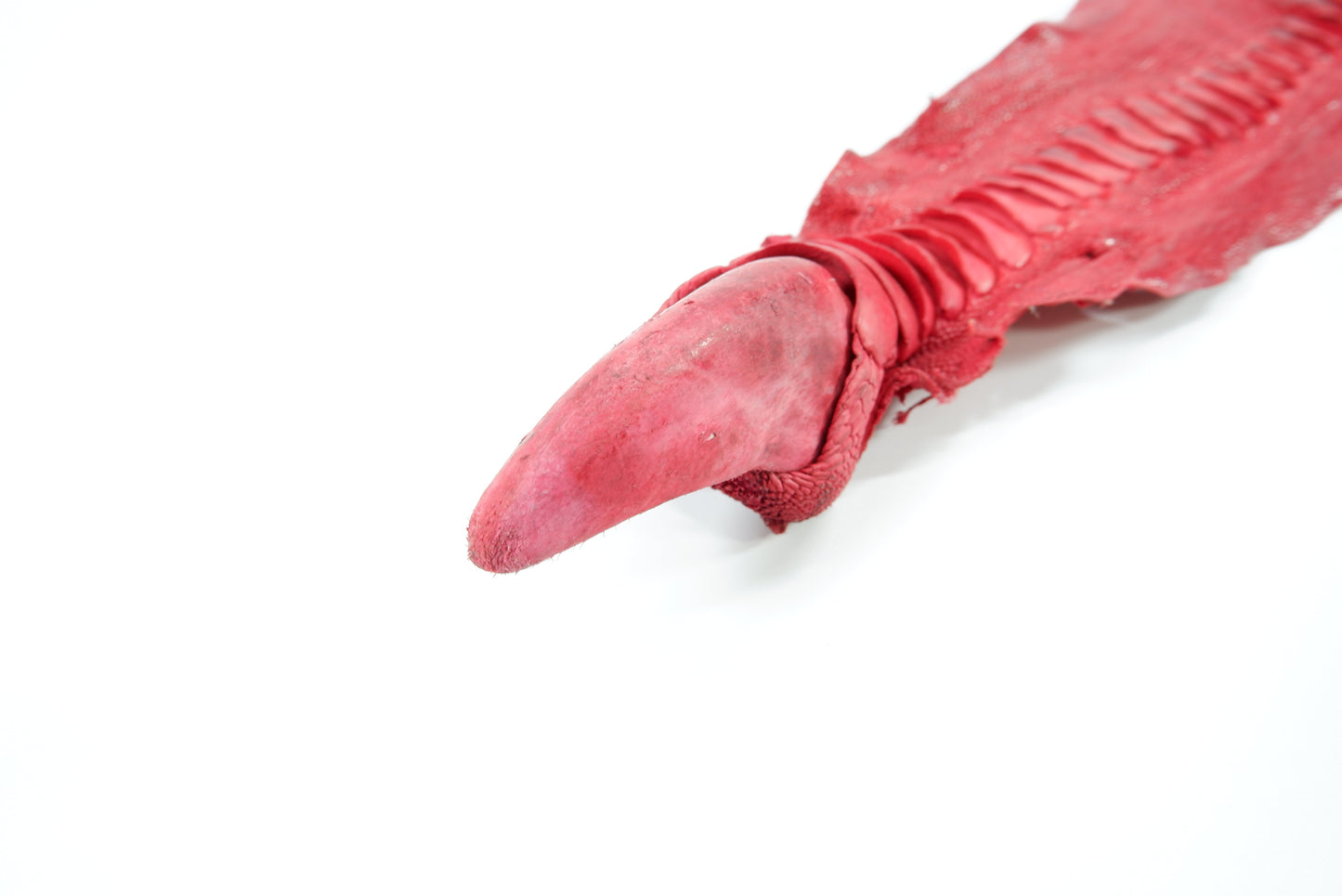 Genuine Ostrich Leg Skin with Claw Leather Hide Pelt