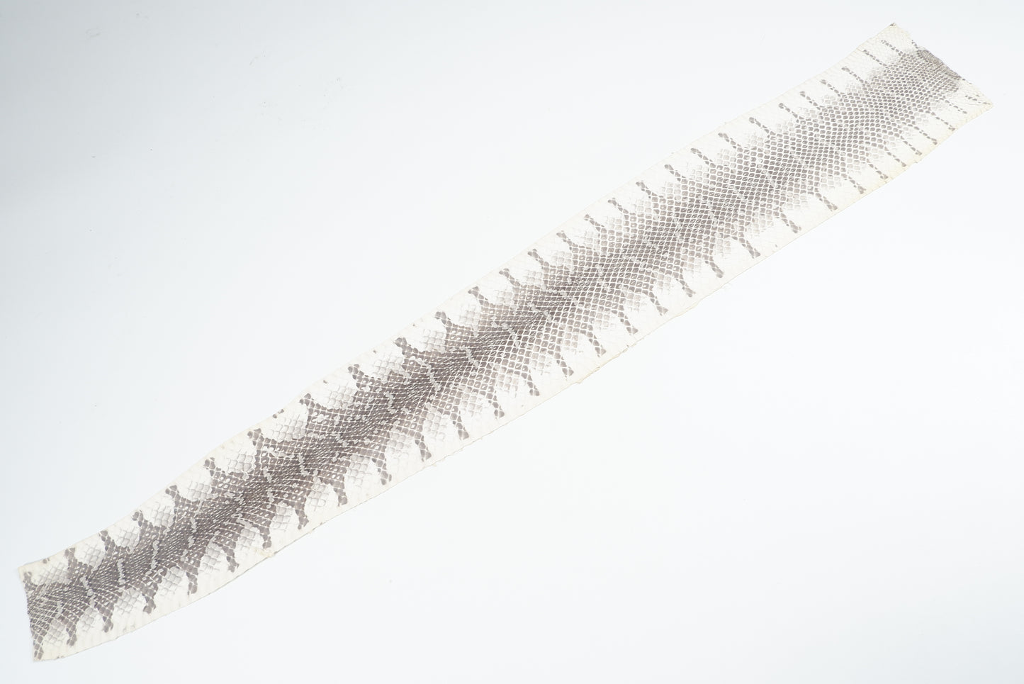 Genuine Tiger Snake Skin Leather Hide Pelt