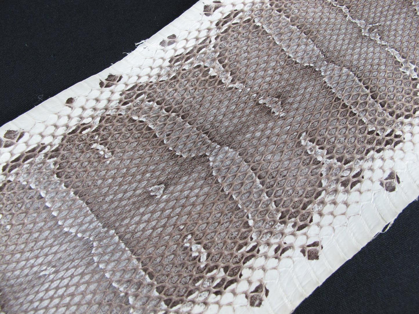 Genuine Masked Water Snake Skin Leather Hide Pelt