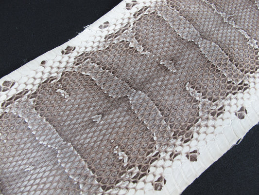 Genuine Masked Water Snake Skin Leather Hide Pelt