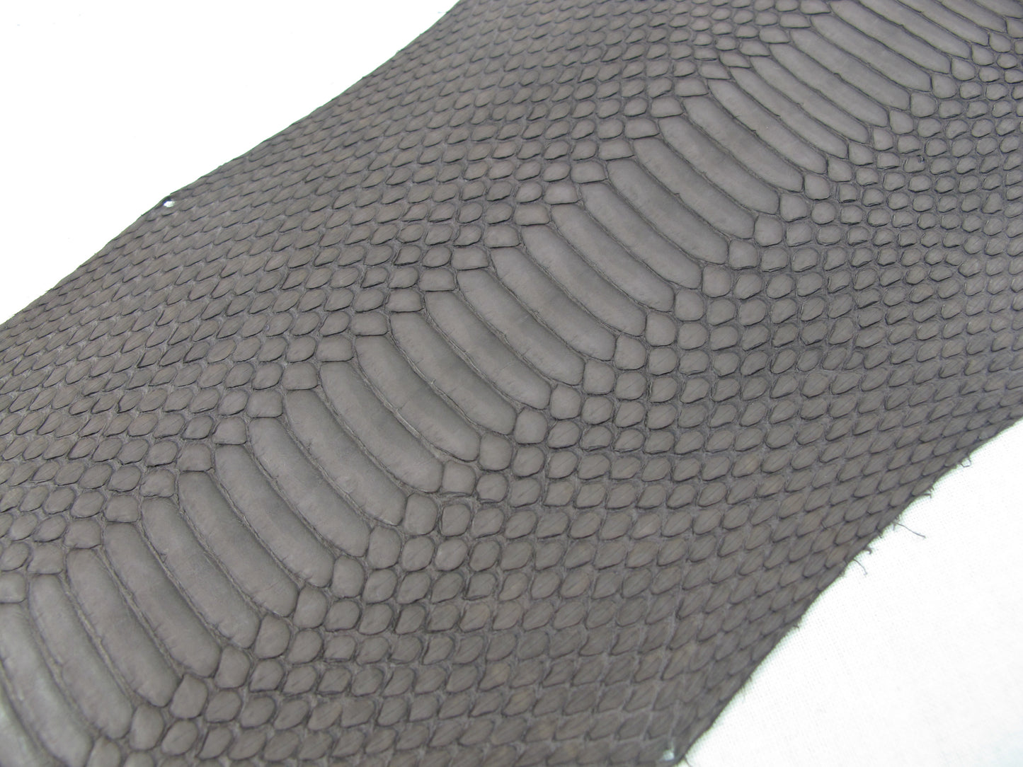 Genuine Masked Water Snake Belly Skin Leather Hide Pelt Brown