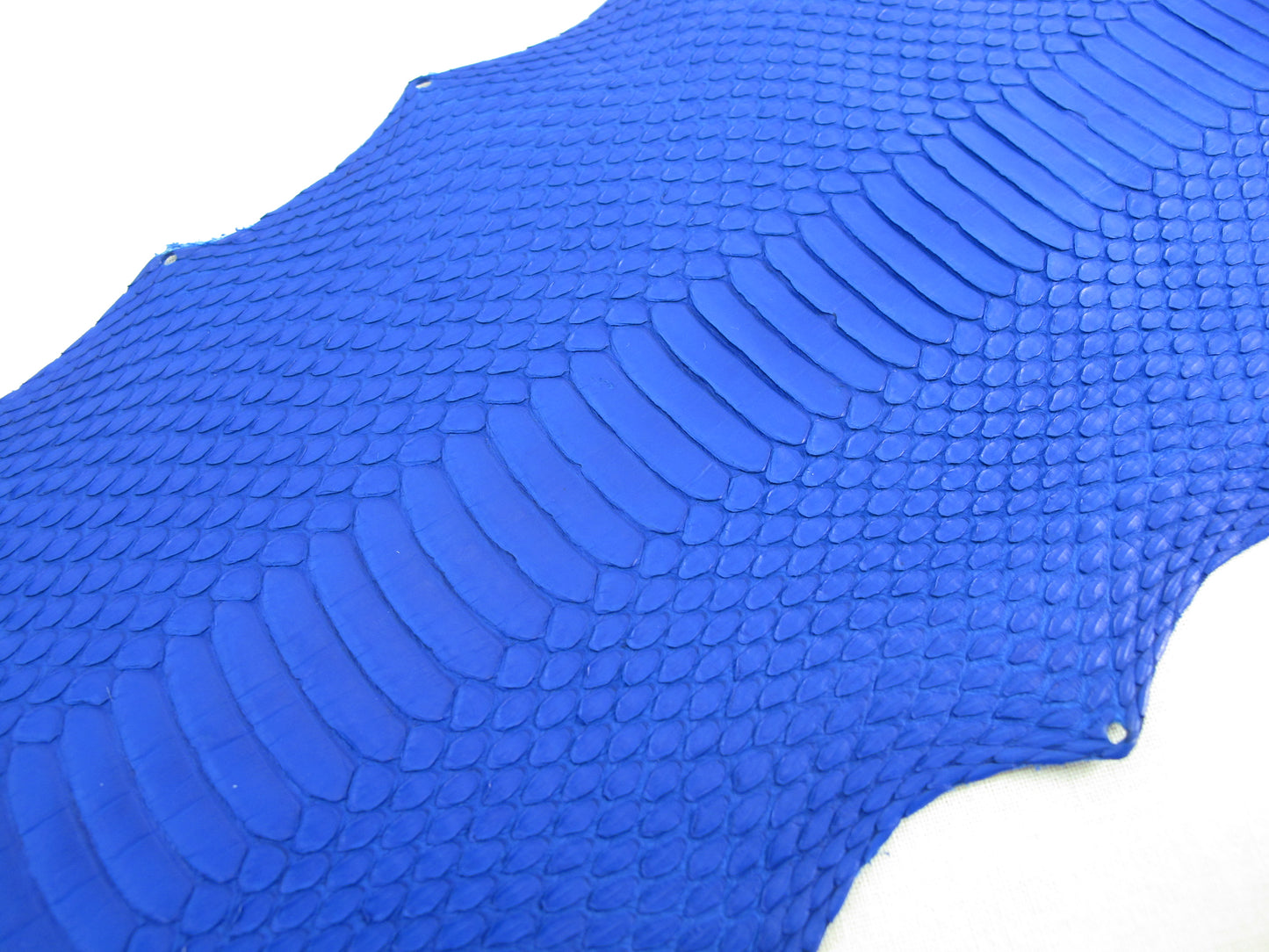 Genuine Masked Water Snake Belly Skin Leather Hide Pelt Blue