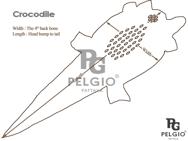 Genuine Crocodile Hornback Skin Leather Hide Pelt