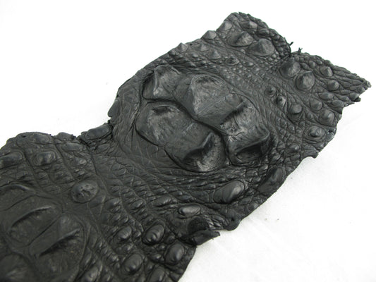 Genuine Crocodile Back Strap Skin Leather Hide Pelt
