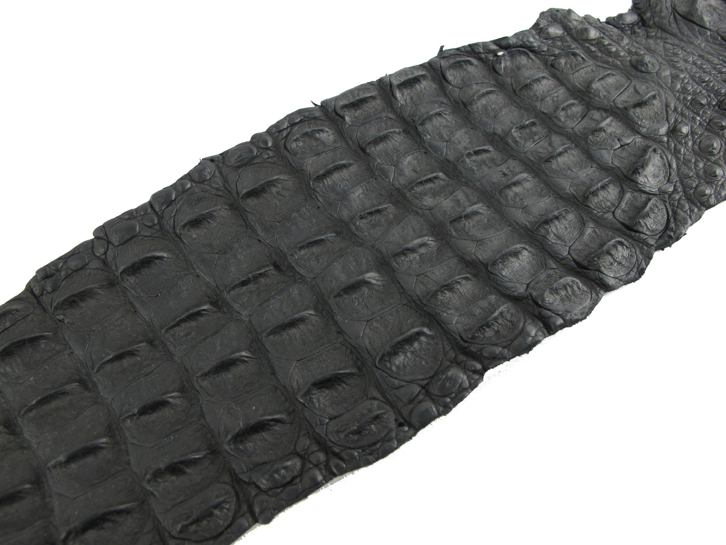 Genuine Crocodile Back Strap Skin Leather Hide Pelt