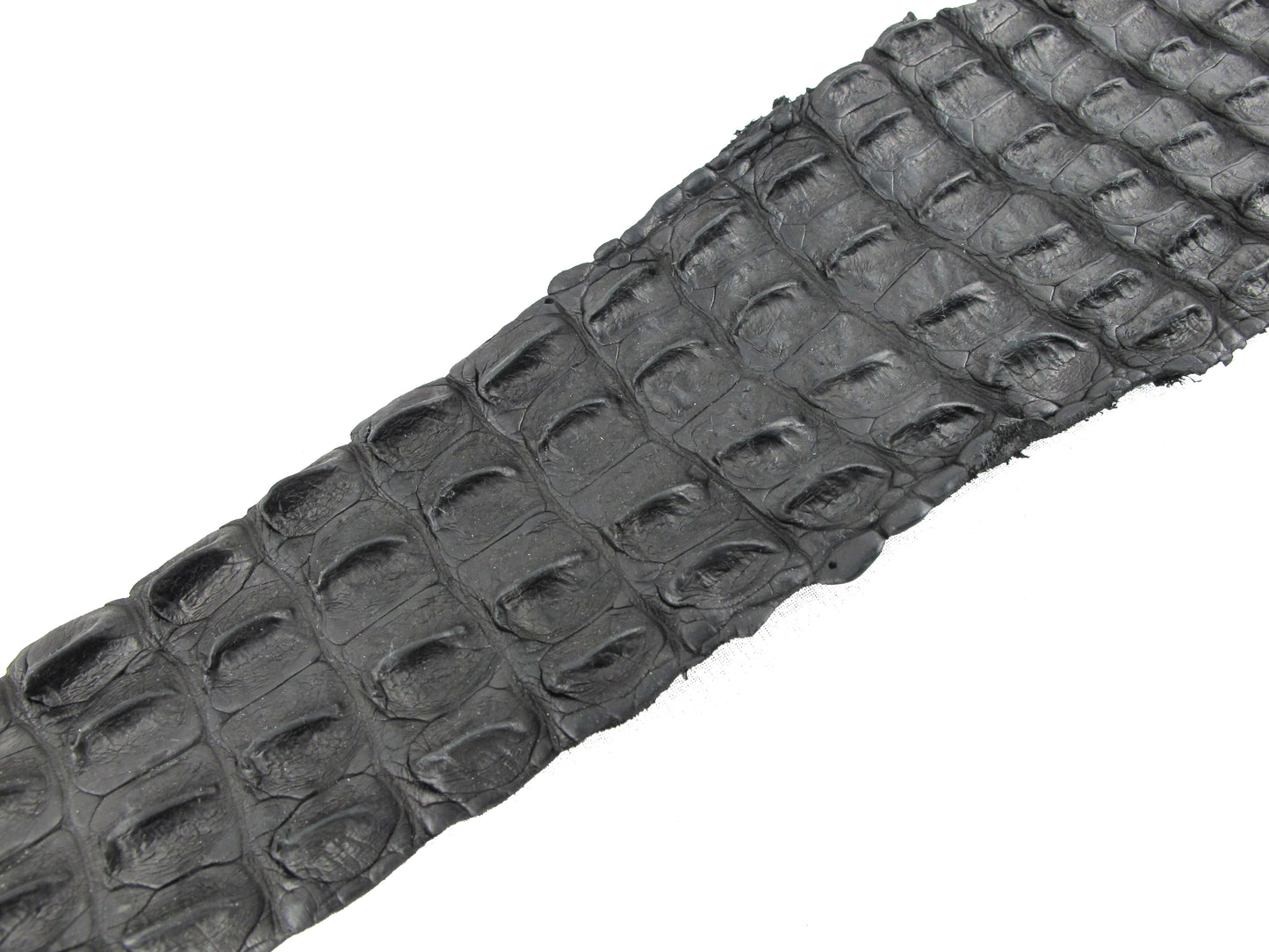 Genuine Crocodile Back Strap Skin Leather Hide Pelt