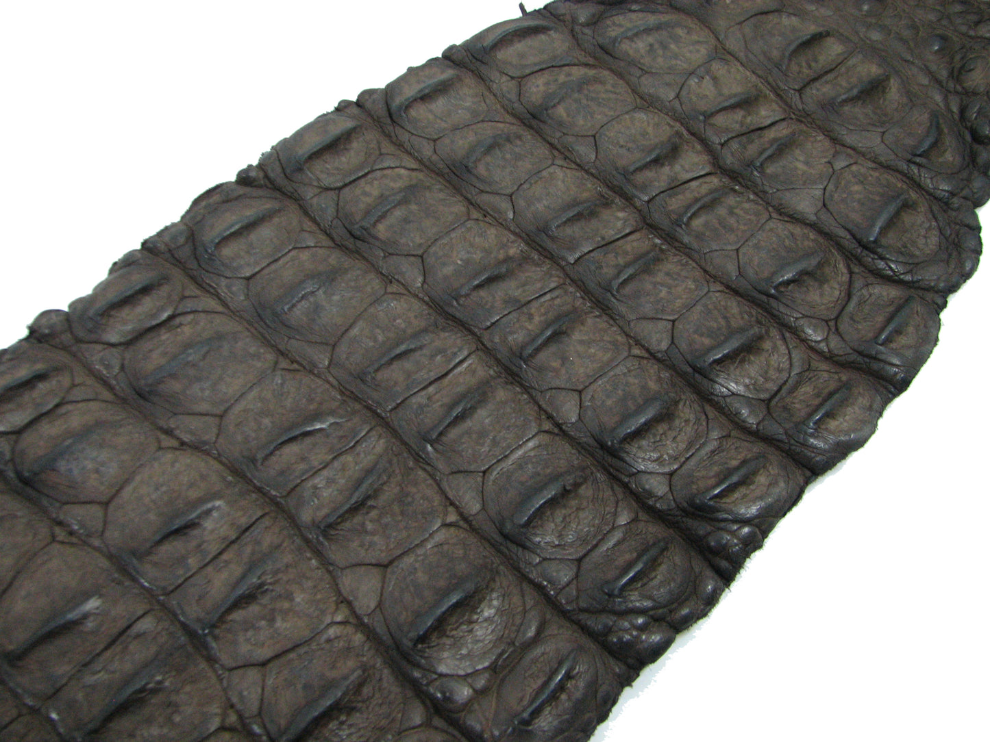 Genuine Crocodile Back Strap Skin Leather Hide Pelt