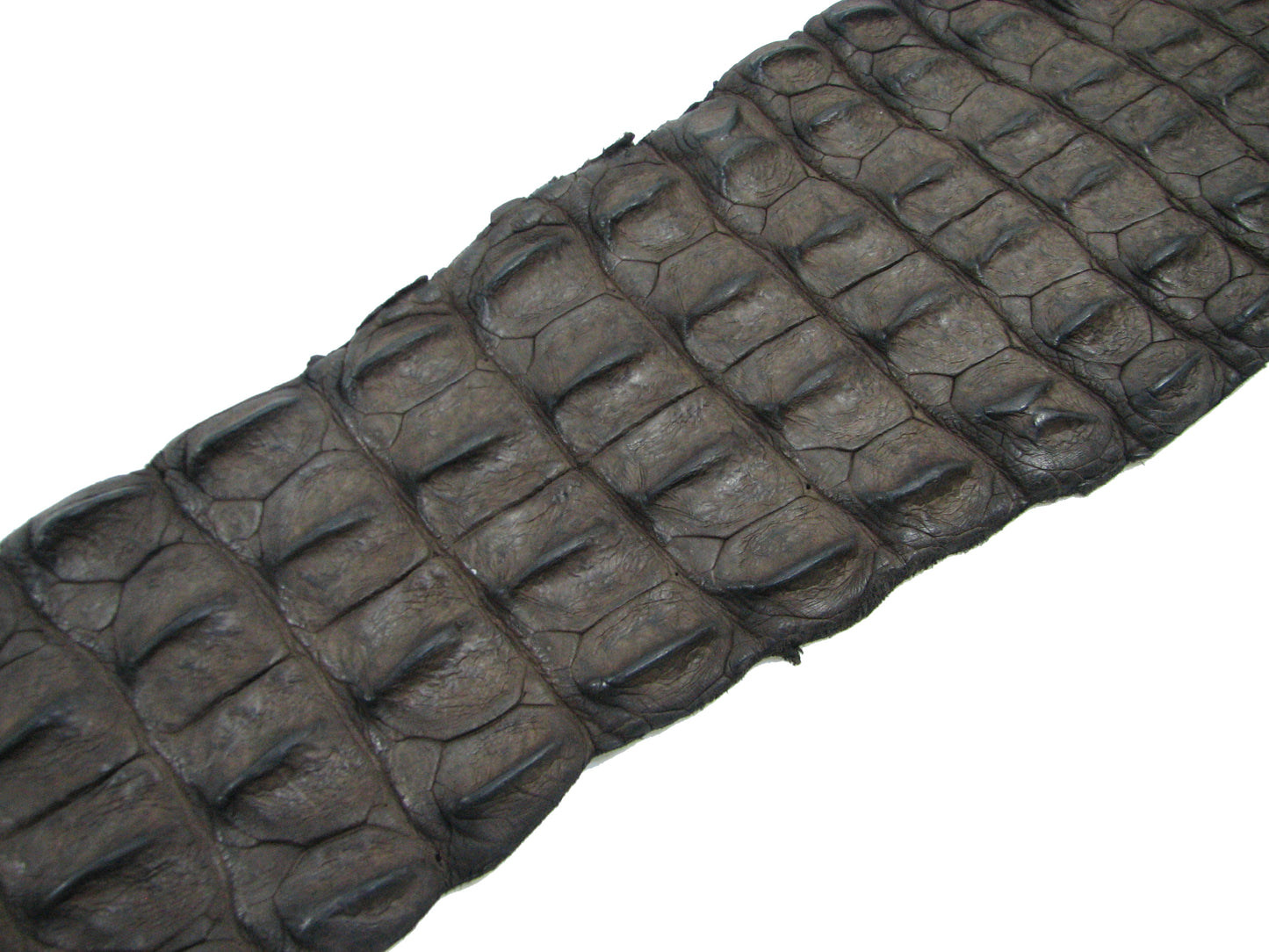 Genuine Crocodile Back Strap Skin Leather Hide Pelt