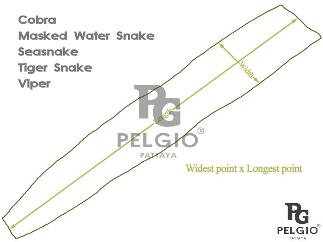 Genuine Masked Water Snake Belly Skin Leather Hide Pelt