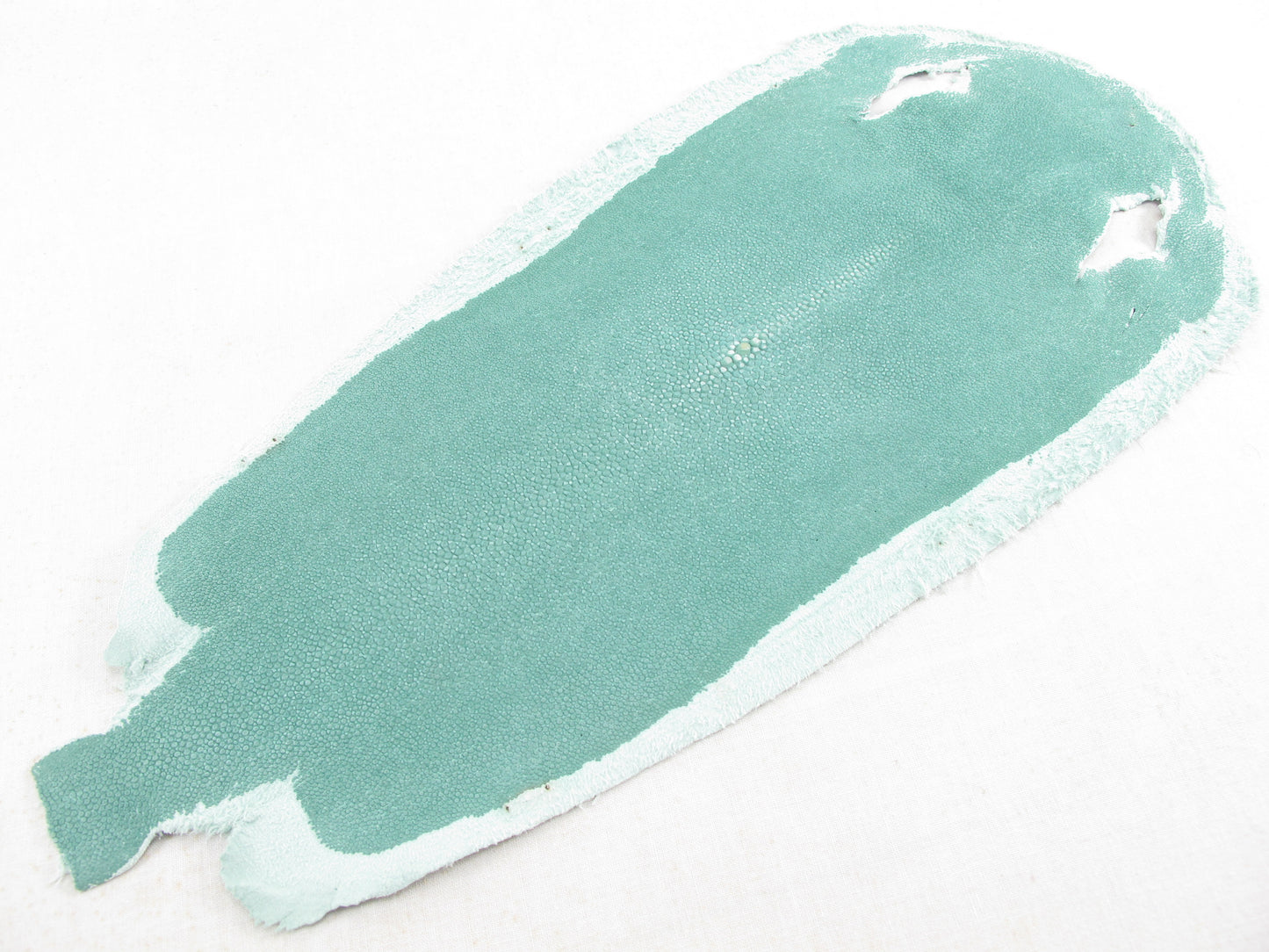 Genuine Stingray Skin Leather Long Shape Crust Hide Pelt