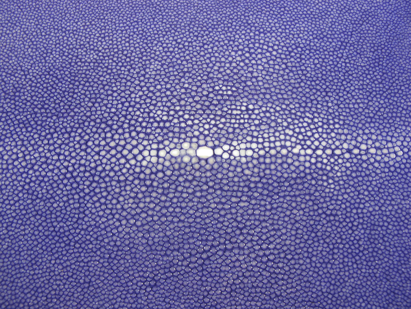 Genuine Polished Stingray Skin Leather Hide Pelt Long Shape Purple