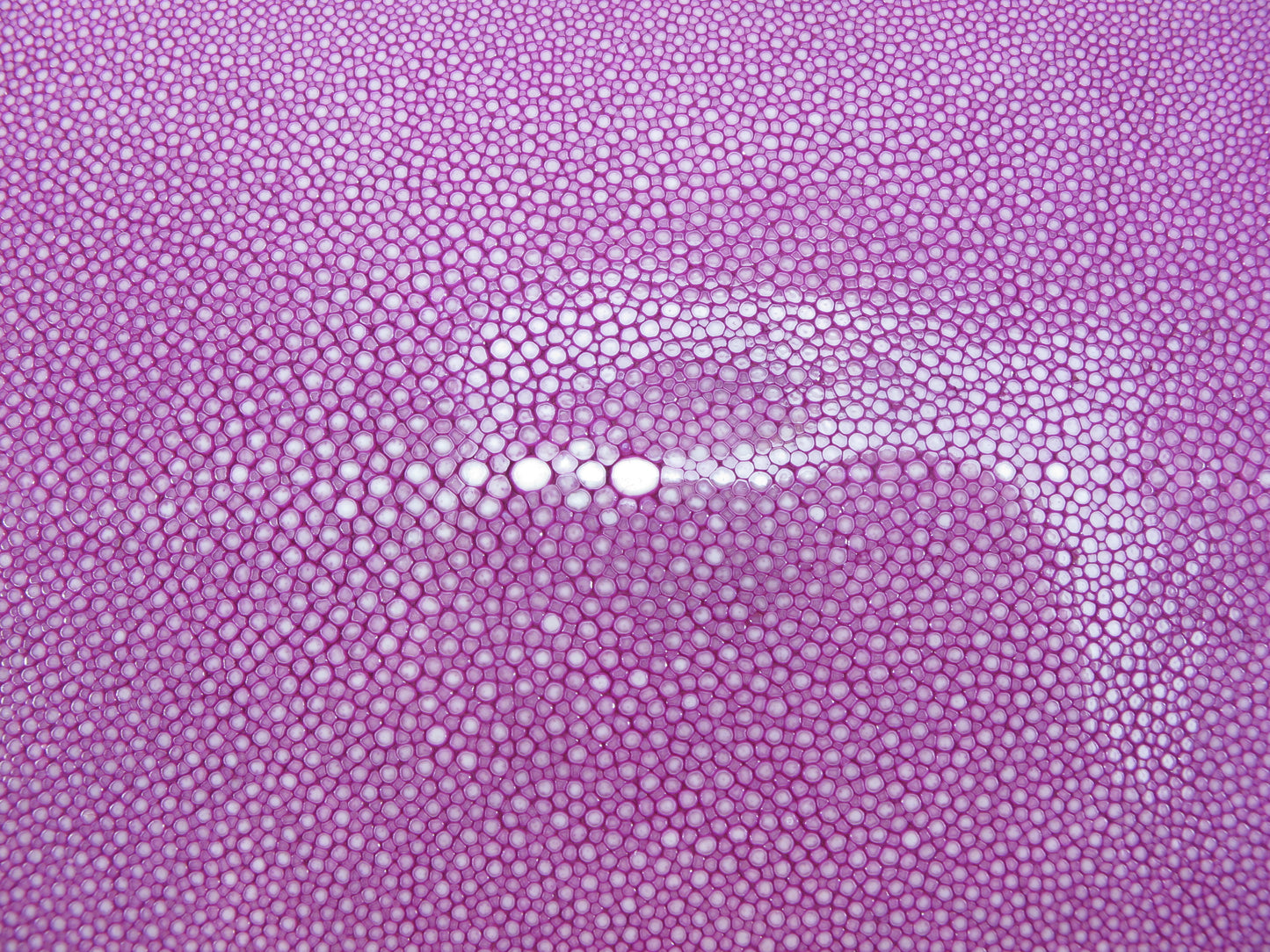 Genuine Polished Stingray Skin Leather Hide Pelt Long Shape Purple