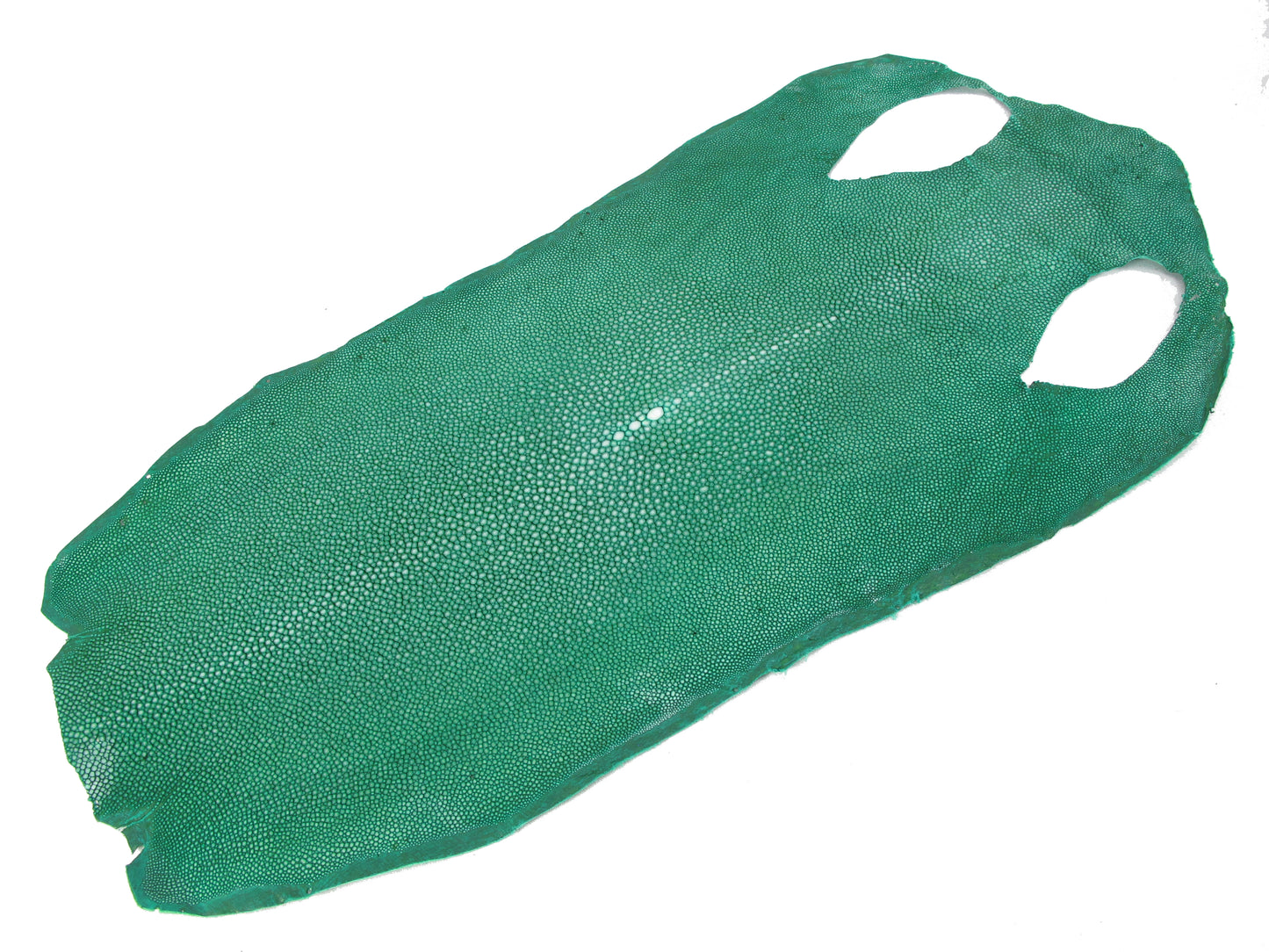 Genuine Polished Stingray Skin Leather Hide Pelt Long Shape Green