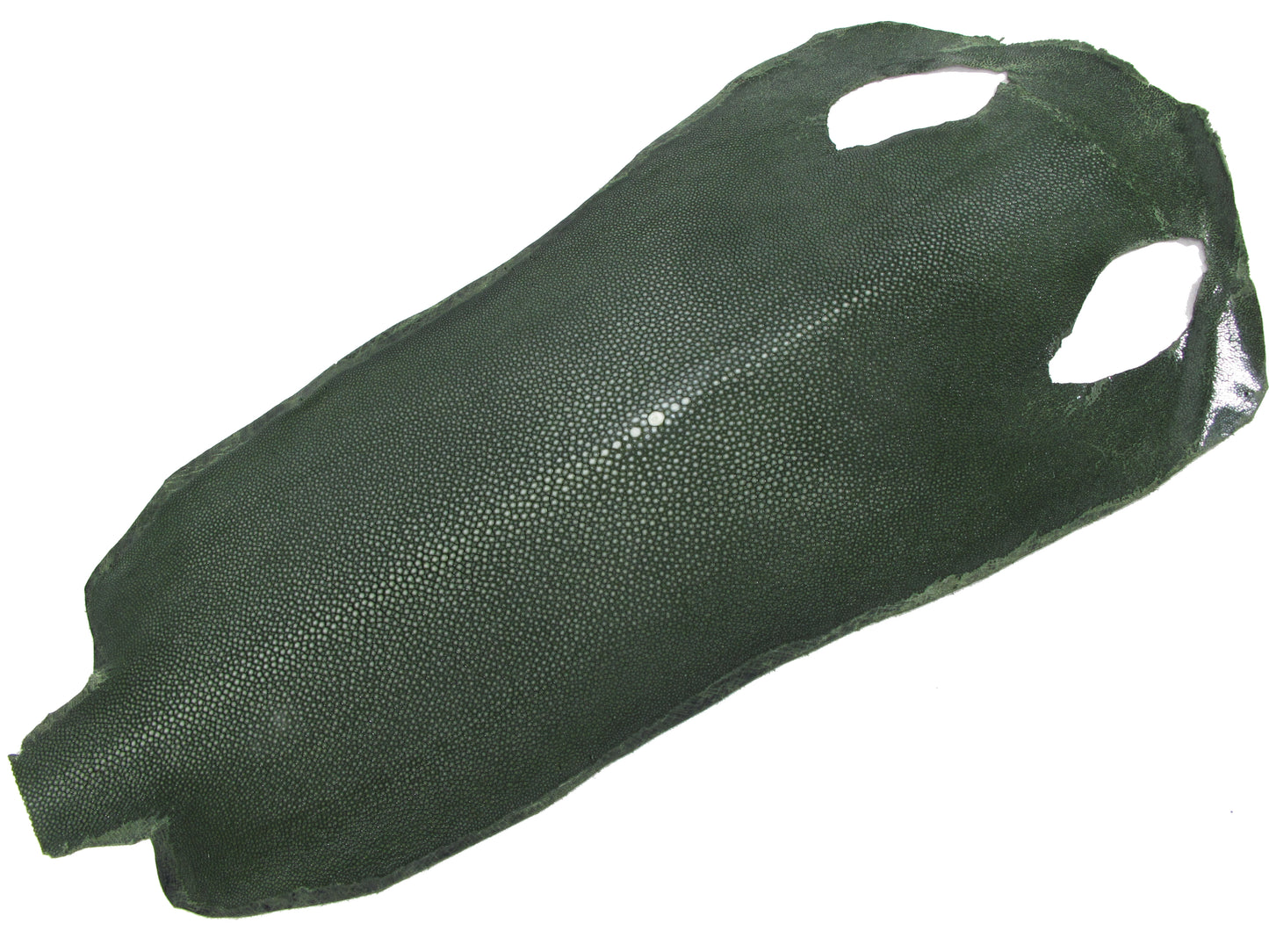 Genuine Polished Stingray Skin Leather Hide Pelt Long Shape Green