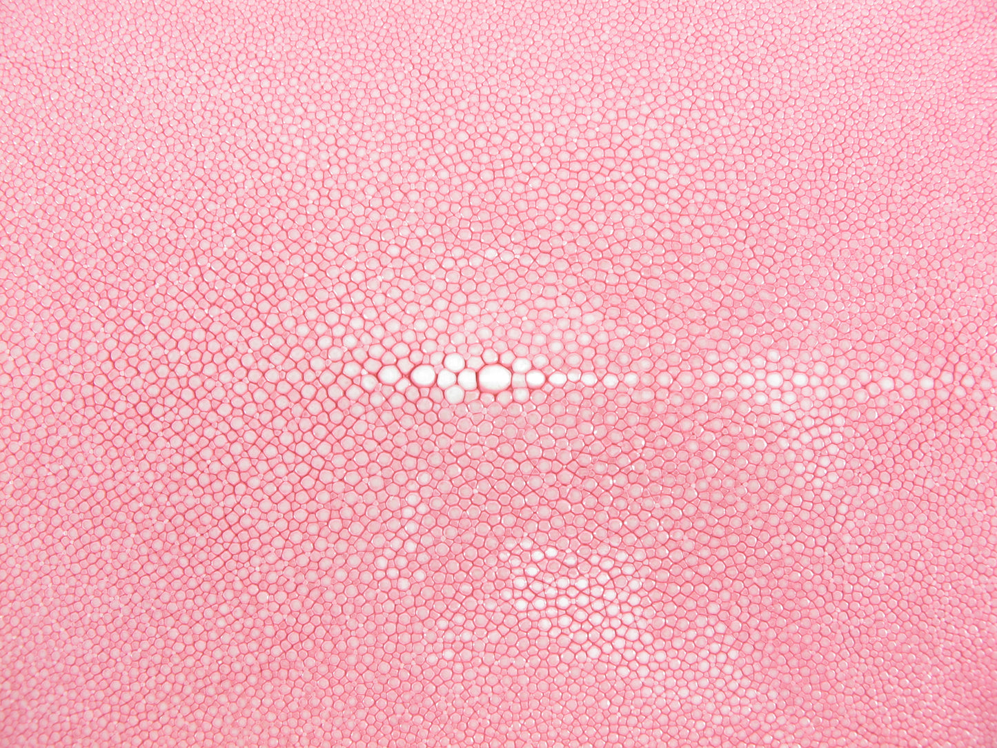 Genuine Polished Stingray Skin Leather Hide Pelt Long Shape Pink