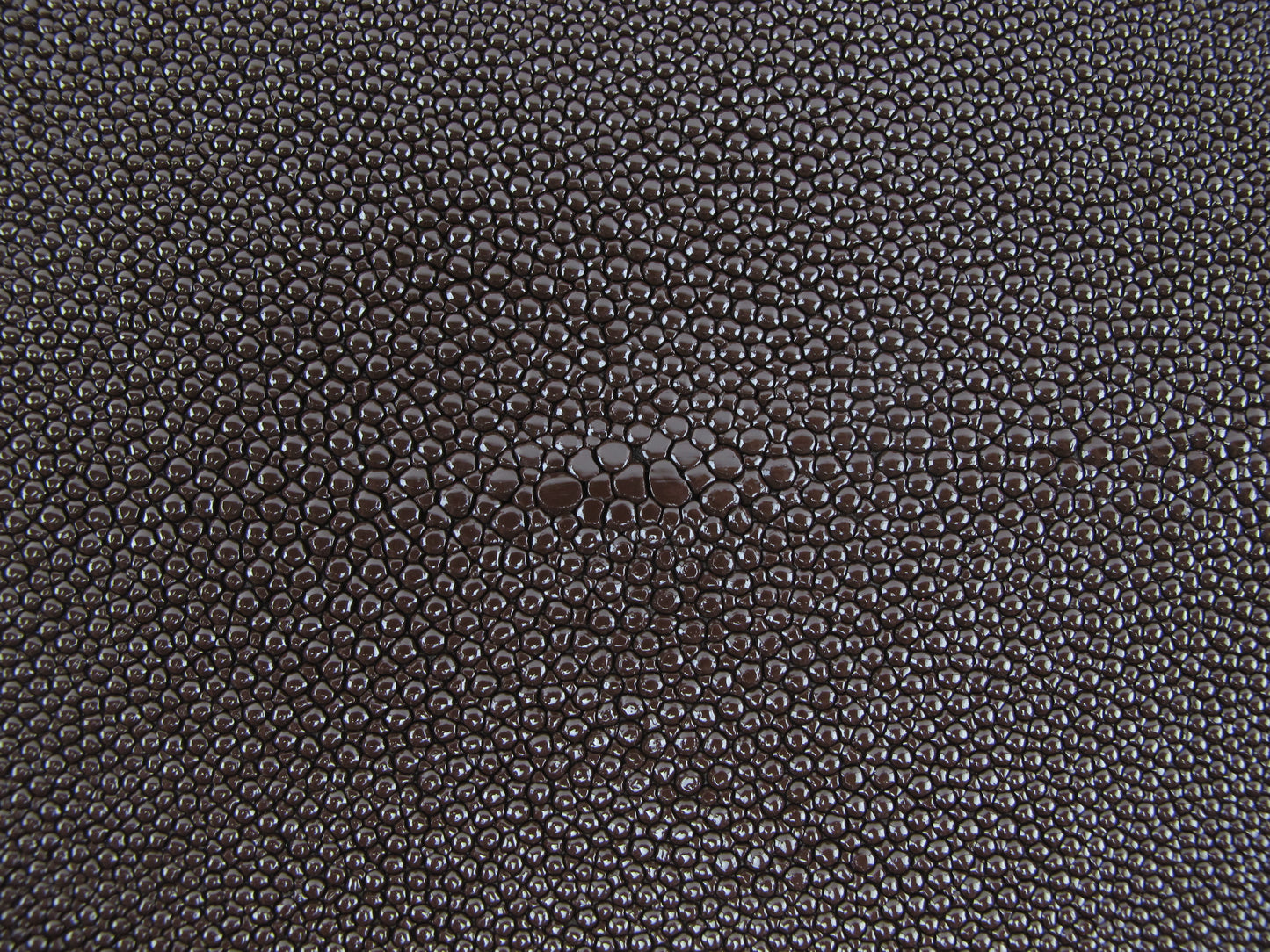Genuine Stingray Skin Leather Long Shape Hide Pelt Chocolate Brown