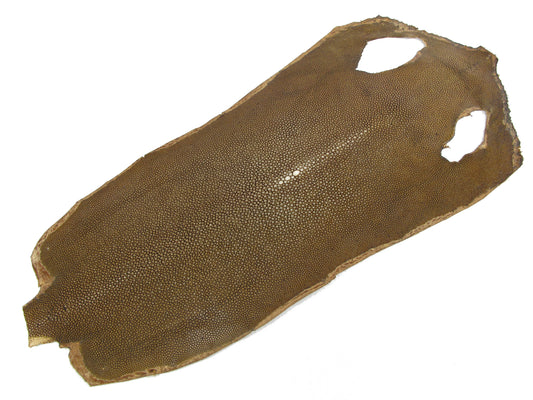 Genuine Polished Stingray Skin Leather Hide Pelt Long Shape Brown