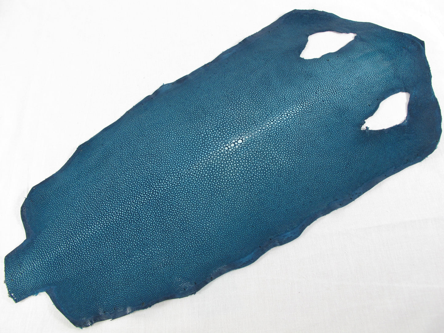 Genuine Polished Stingray Skin Leather Hide Pelt Long Shape Blue