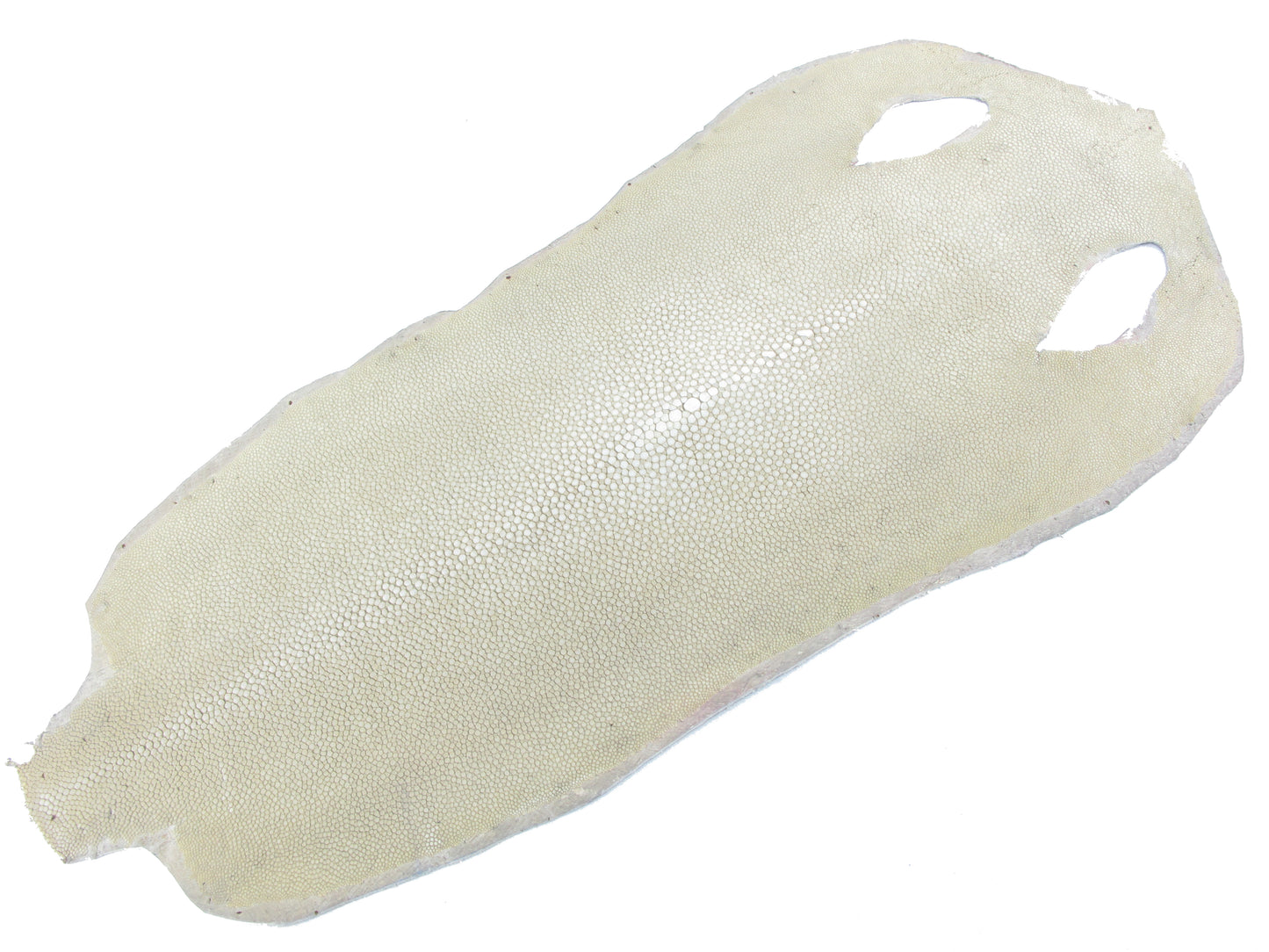 Genuine Polished Stingray Skin Leather Long Shape Hide Pelt