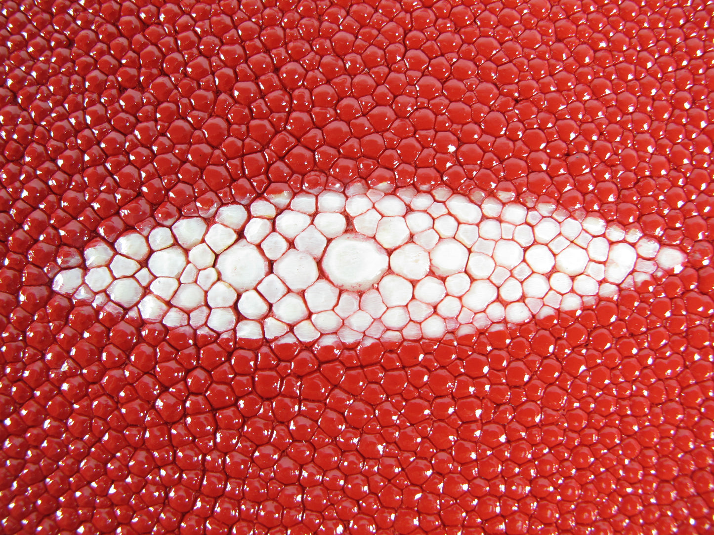 Genuine Stingray Skin Leather Long Shape Hide Pelt Carmine Red